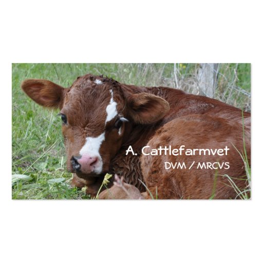 Calf business card (front side)