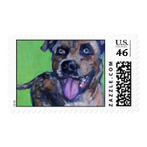 Calhoun Stamp