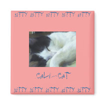 Cali-Cat magnets