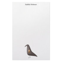 Cali Crows · Crow & Star stationery
