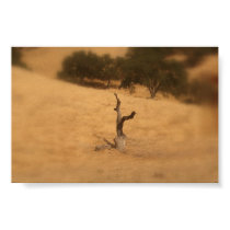 cali gold posters by pscaclark cali gold posters