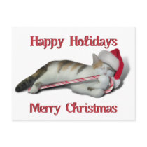 Cali o gato do Natal da chita cartées postais