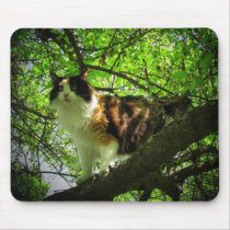 Calico bird hunter mouse pad