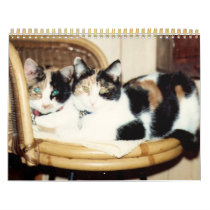 calico calender wall calendar