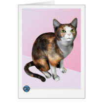 Calico cards