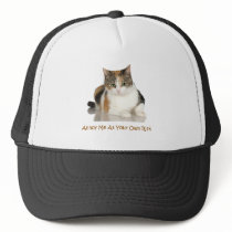 Calico Cat: Annoy Me At Your Own Risk Mesh Hats