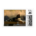 Calico Cat at Sunset postage