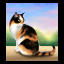 Calico Cat at Sunset Poster posters