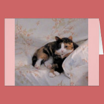 Calico Cat - Blank Inside cards