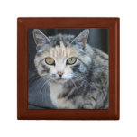 Calico Cat Gift Box gift boxes