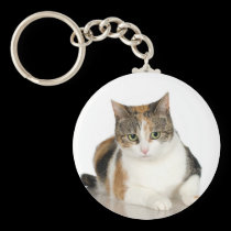 Calico Cat Keychain keychains