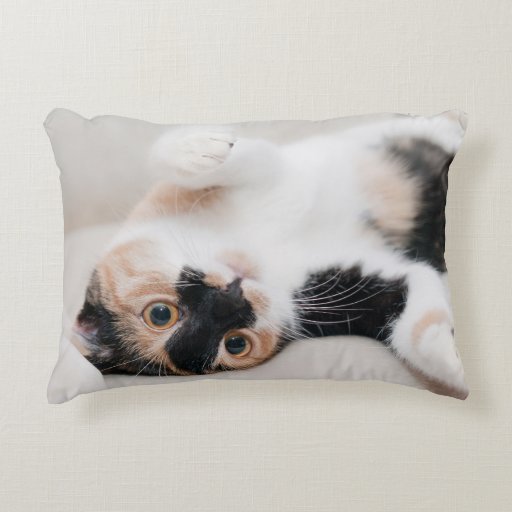 Calico Cat Laying on his back with paws up Accent Pillow Zazzle