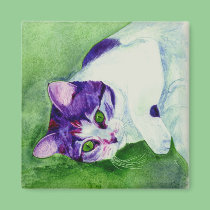 Calico Cat Magnet - "Green-Eyed Girl" magnets