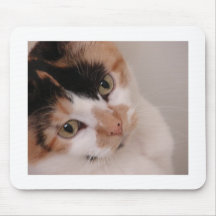 Calico Cat Mouse Pads