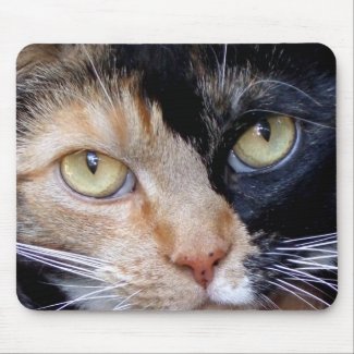 Calico cat mousepad mousepad