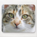 Calico Cat Mousepad