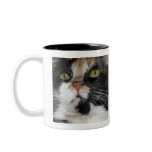 Calico Cat Mug