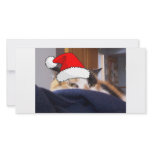 Calico Cat Custom Photo Card