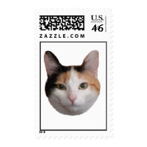 Calico Cat Portrait Postage stamps
