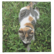 Calico Cat Printed Napkins