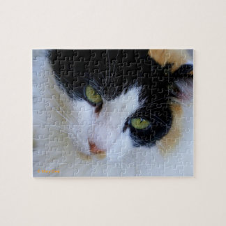 douglas puzzle calico cat