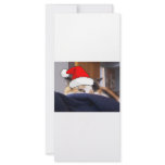 Calico Cat Custom Rack Card