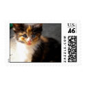 Calico Cat Stamps by Veroshi Calico Cat Stamps
