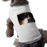 Calico Cat Whiskers Pet Shirt