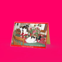 calico christmas cards