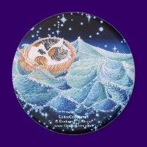 Calico Cockleshell, CalicoCockleshell Darlene ... magnets