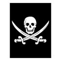 Calico Jack posters