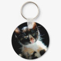 Calico Kitten Keychain