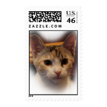 Calico Kitten Portrait stamps