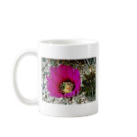 Calico Or Hedgehog Cactus Mugs