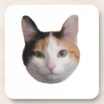 Calico Portrait cork coasters