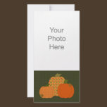 Calico Pumpkin Trio Photo Card photo cards