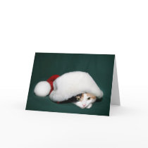 Calico Santa cards