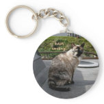 Calico Siamese Cat on Unalaska Island Key Chains