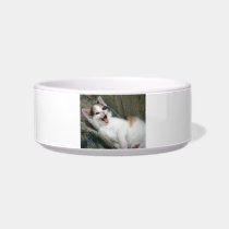 Calico Yawning Kitten Cat Pet Bowl Cat Water Bowl