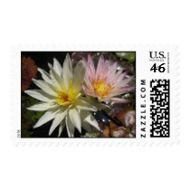 Caliente stamps