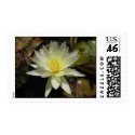 Caliente postage by utopiaaquatic Caliente postage