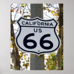 California 66 posters