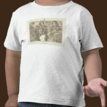California and Nevada t-shirts