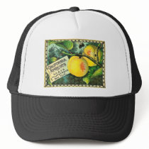 California Apricots - Vintage Crate Label Mesh Hat