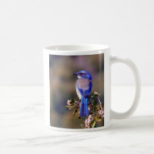 California Blue Mugs