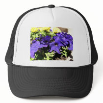 California Bluebell