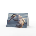 California Brown Pelican Cards