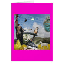 California Buddha cards