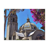 California Building In Balboa Park Postcard