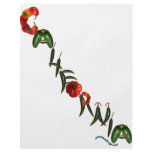 California Chili Peppers flyers